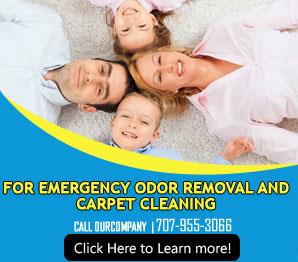 Our Services - Carpet Cleaning Benicia, CA