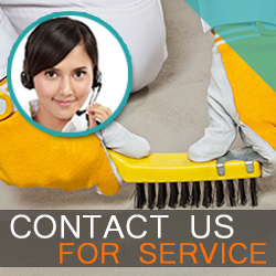 Contact Carpet Cleaning Service